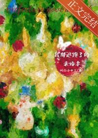 我那逃跑了的未婚妻晋江