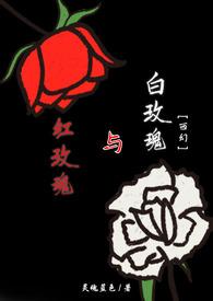 红玫瑰与白玫瑰免费完整版