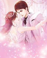 上门姑爷齐丹的结局是什么